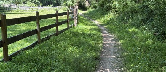 Cross county trail