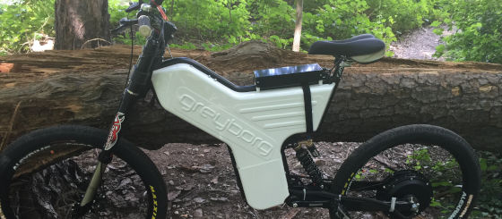 ebike